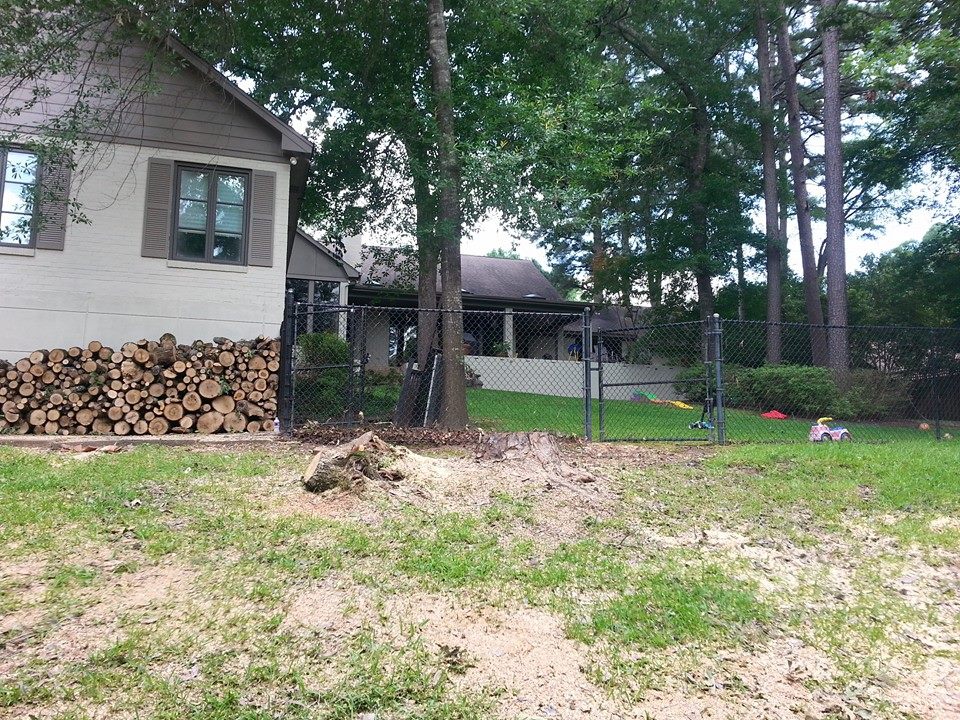 Patterson Tree Service | White Oak TX