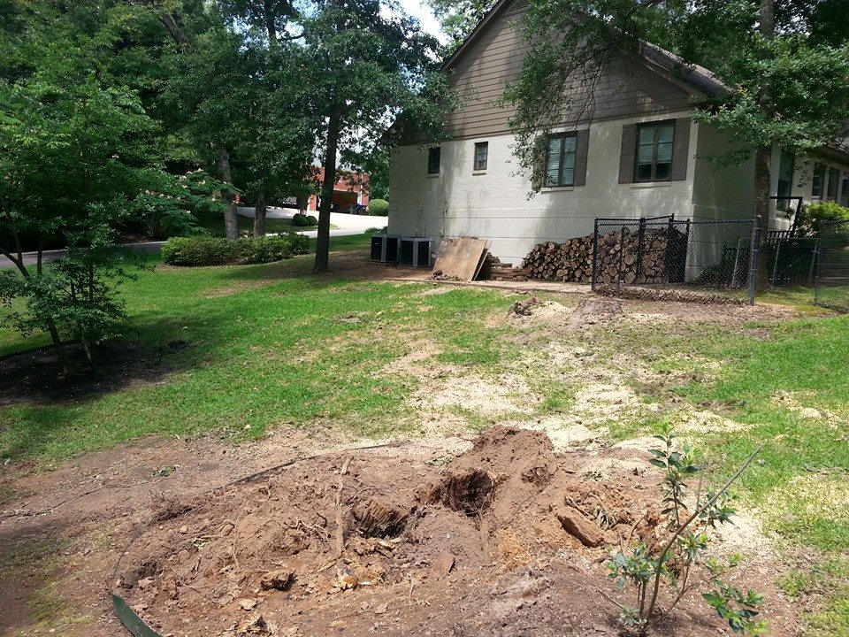Patterson Tree Service | White Oak TX