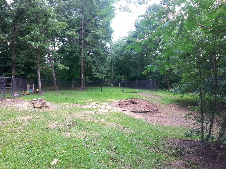 Patterson Tree Service | White Oak TX