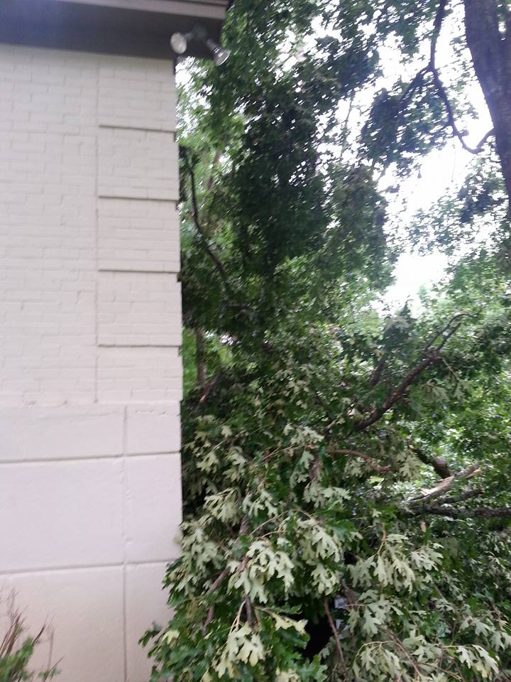 Patterson Tree Service | White Oak TX