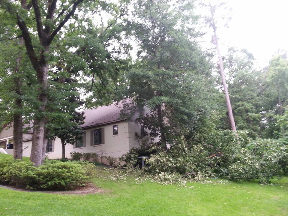 Patterson Tree Service | White Oak TX
