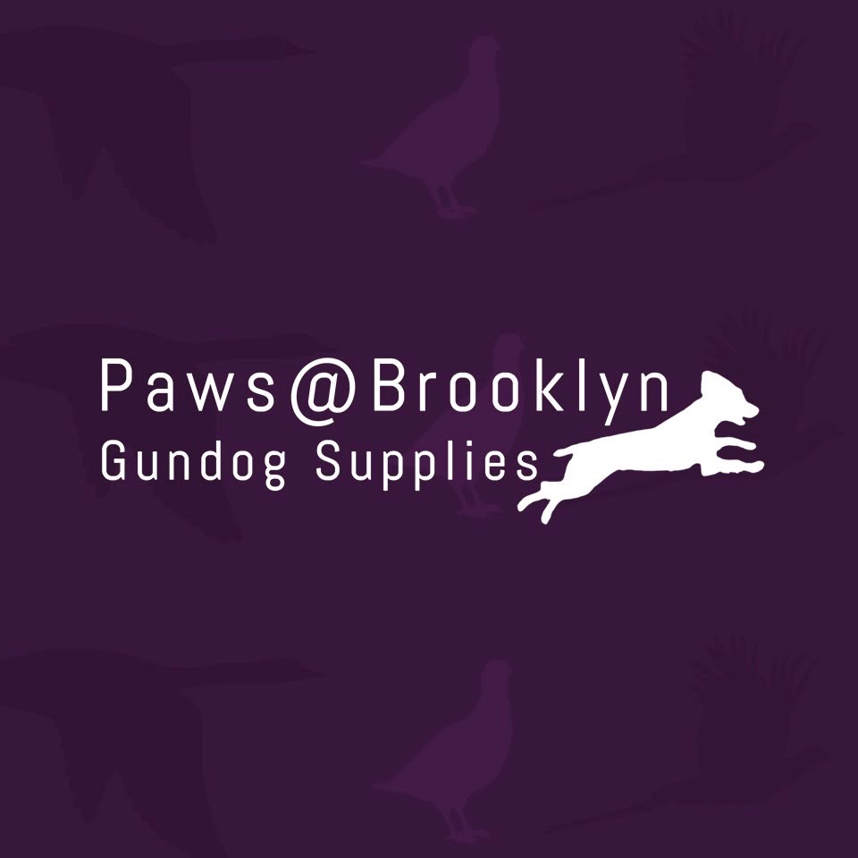 Train. Work. Explore. Together. 🐶🌿 #PawsAtBrooklyn #Gundogs # ...