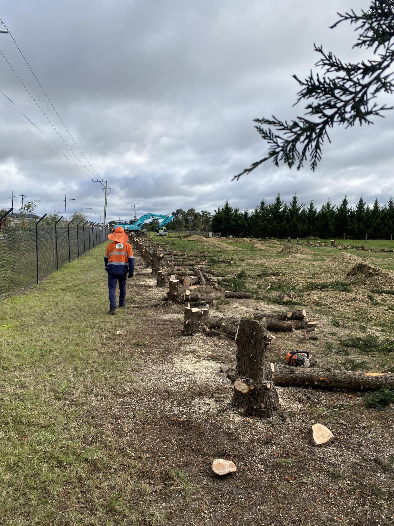 Harrys Yard: Tree Removal & Arborists Melbourne | Melbourne VIC