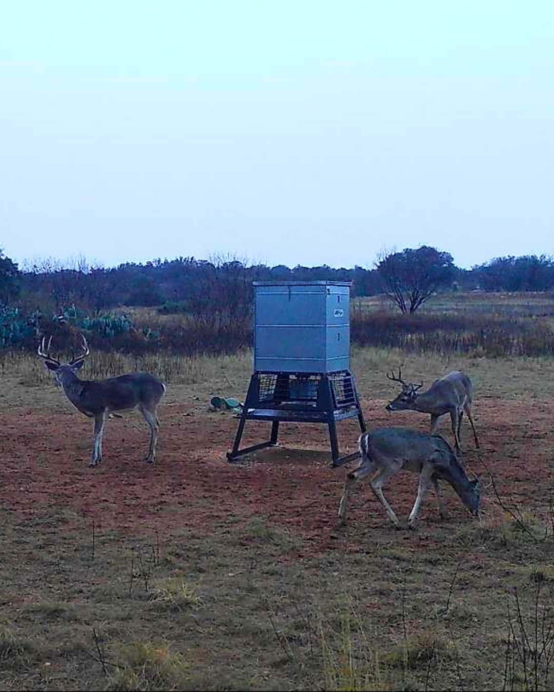 Bluestem Ranch Group added a new... - Bluestem Ranch Group