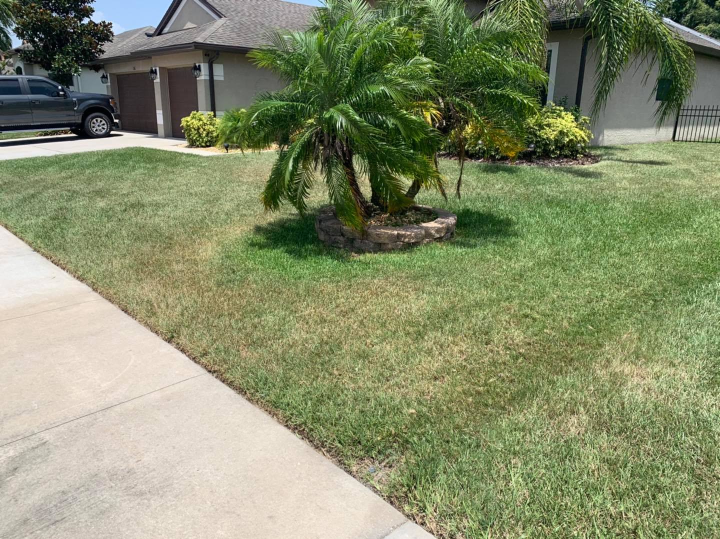 Real Turf Solutions LLC | Valrico FL