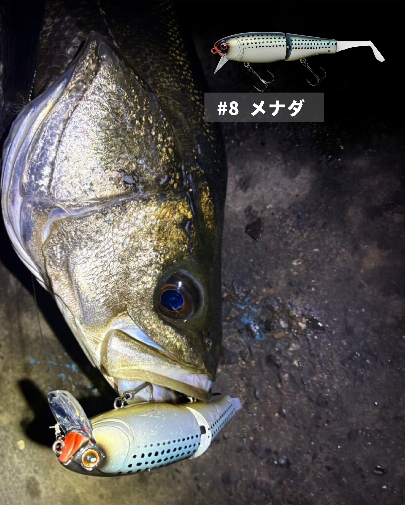 がまかつ - がまかつ added a new photo.