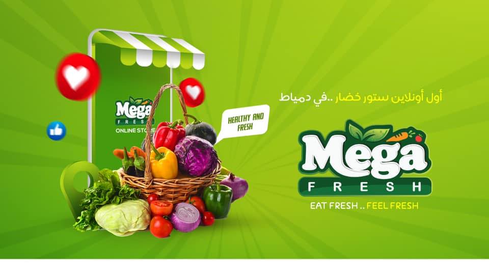 Mega fresh | Damietta