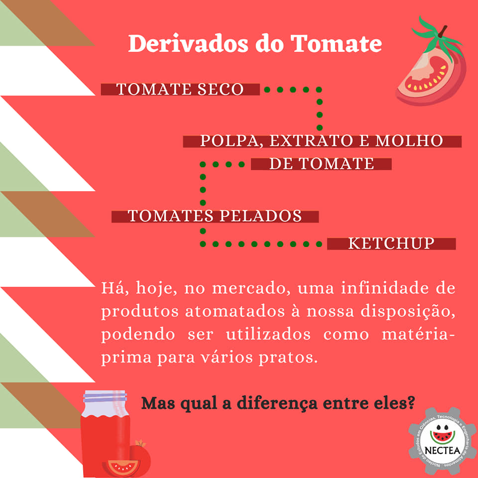 Qual a diferença entre polpa, extrato e molho de tomate 🍅🧐 . Venha ...