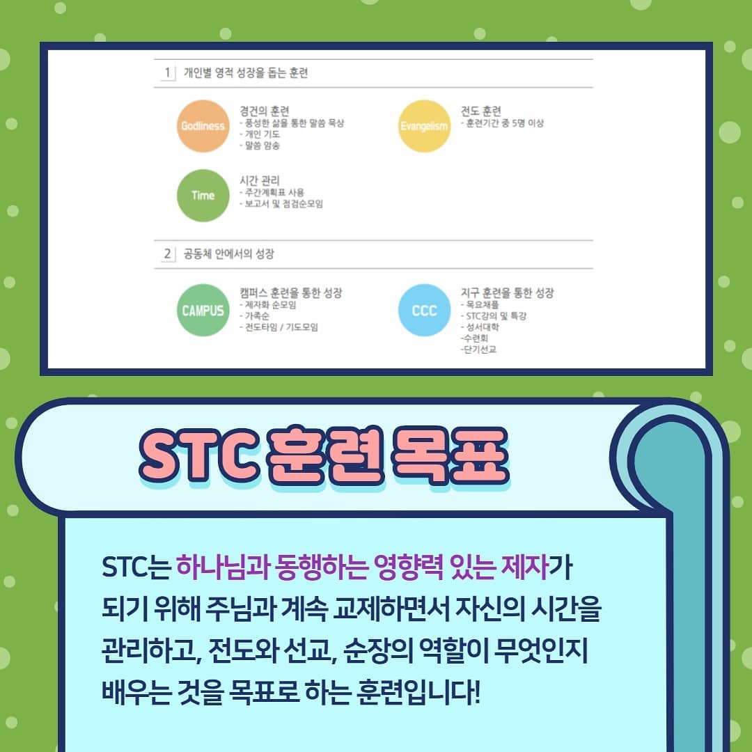 고려대학교 세종캠퍼스 CCC - 🧚CCC의 슬기로운 온라인 STC🧚🏻‍♀️ . 🤷🏻STC? STC란...