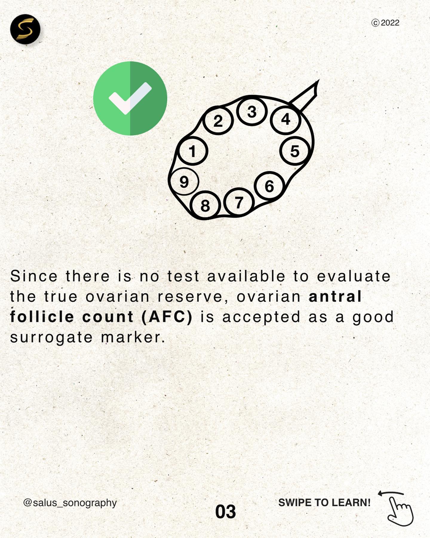 - Antral follicle count (AFC) is a test... - Salus sonography | Facebook