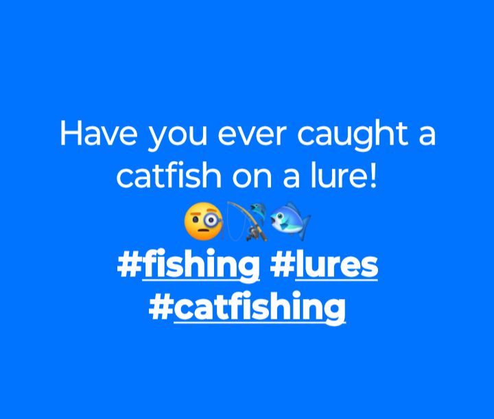 a fishing lure pun Relaxgiant 4 Pcs Funny Lures, Bass Fishing Lures for Freshwater Saltwater Top Water, Fish Gear Gag Gift for Fish Lovers, Men, Father's Day, White Elephant Gift : Sports & Outdoors I have several times, mostly