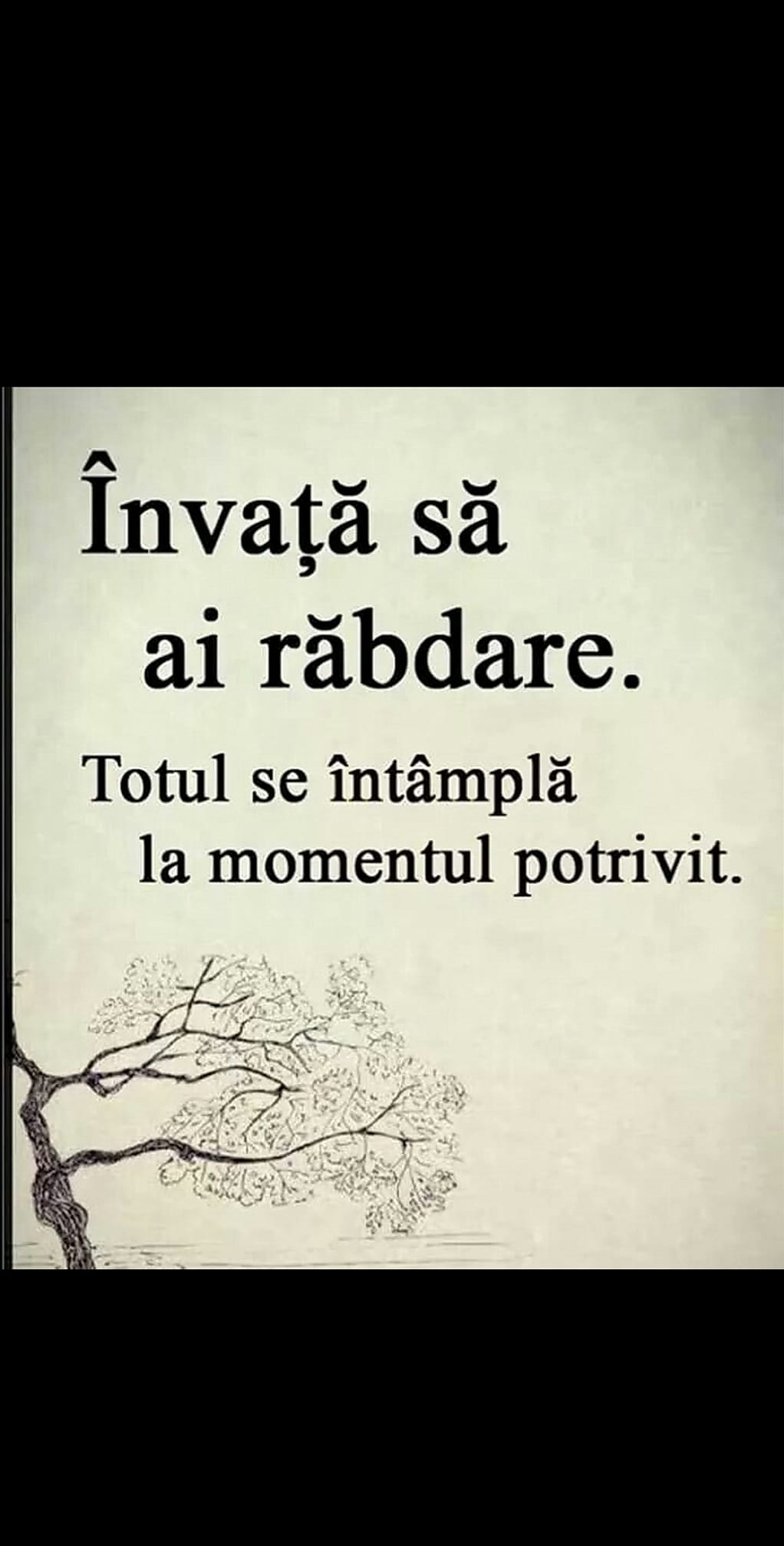 Citate Celebre