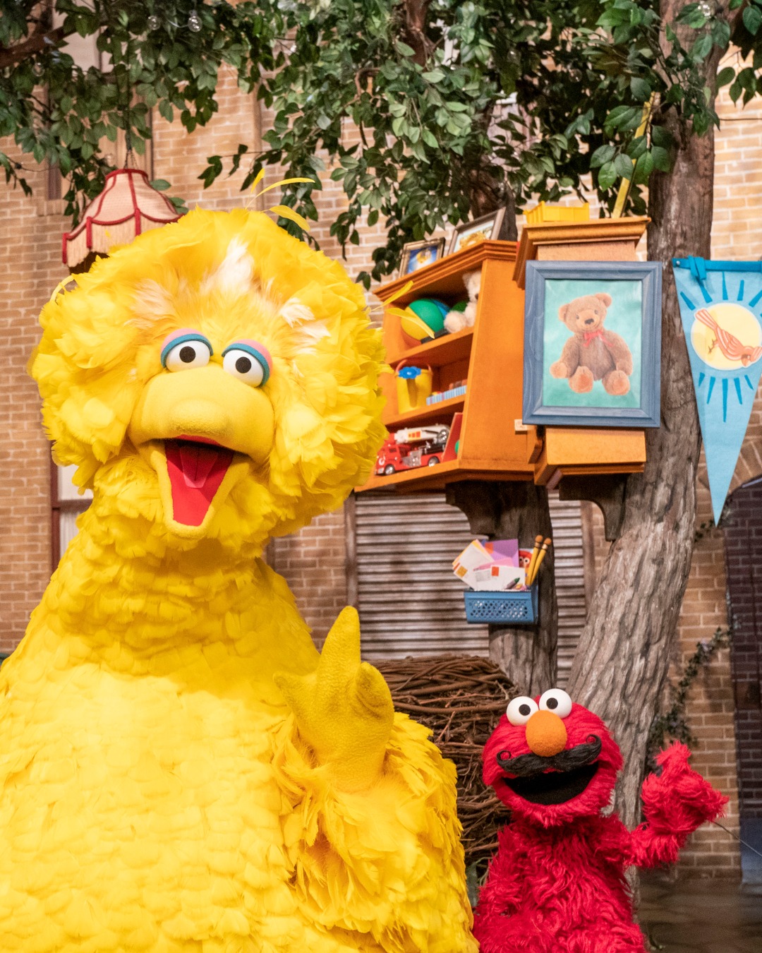 Big Bird (@BigBird) • Facebook