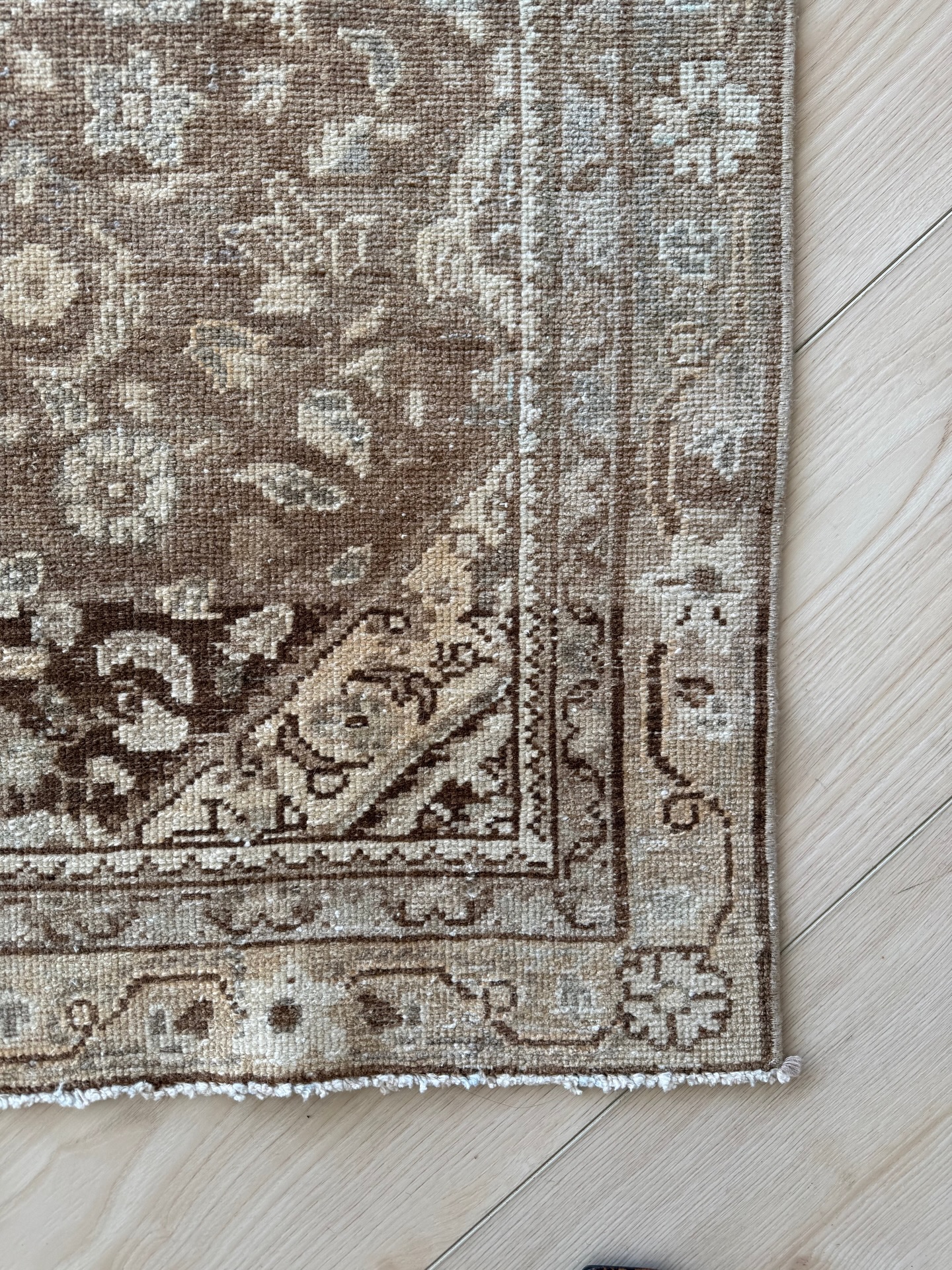 We have quite a few neutral runners in stock online, and in the  display picture 1