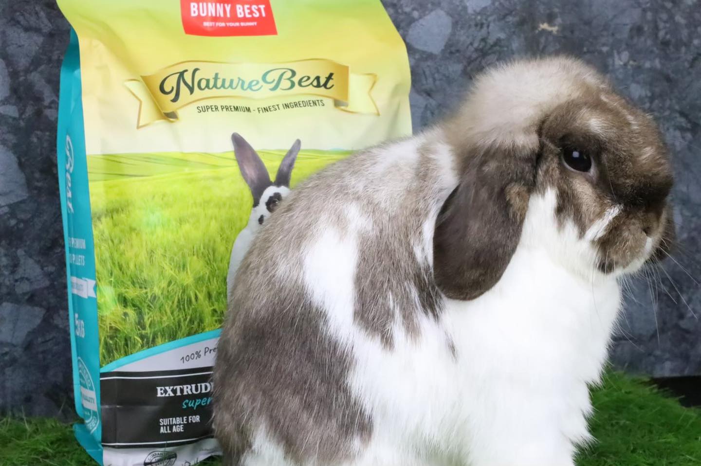 ((Nature Best ::... - BunnyBest.Official