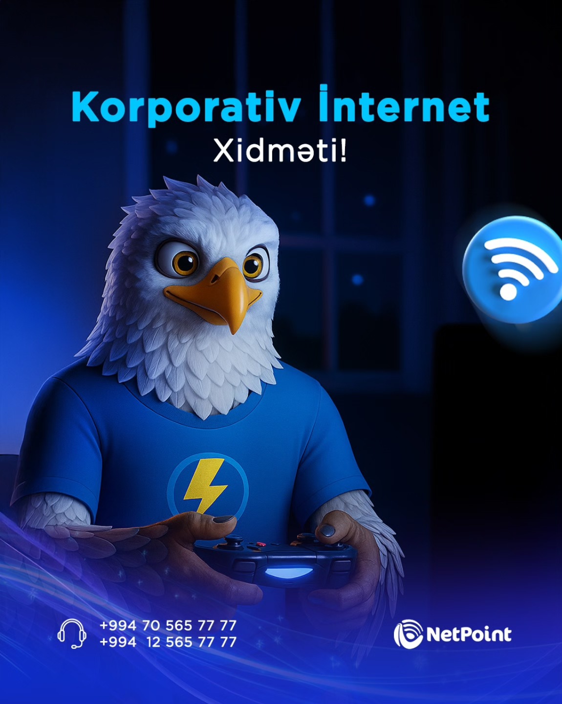 NetPoint LLC | Baku