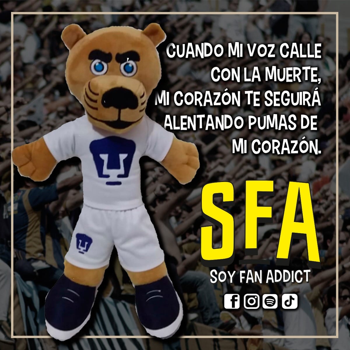 Soy Fan Addict