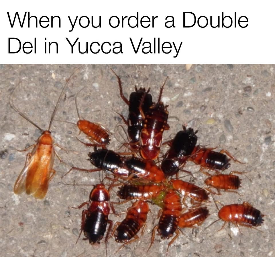 Morongo Basin Memes