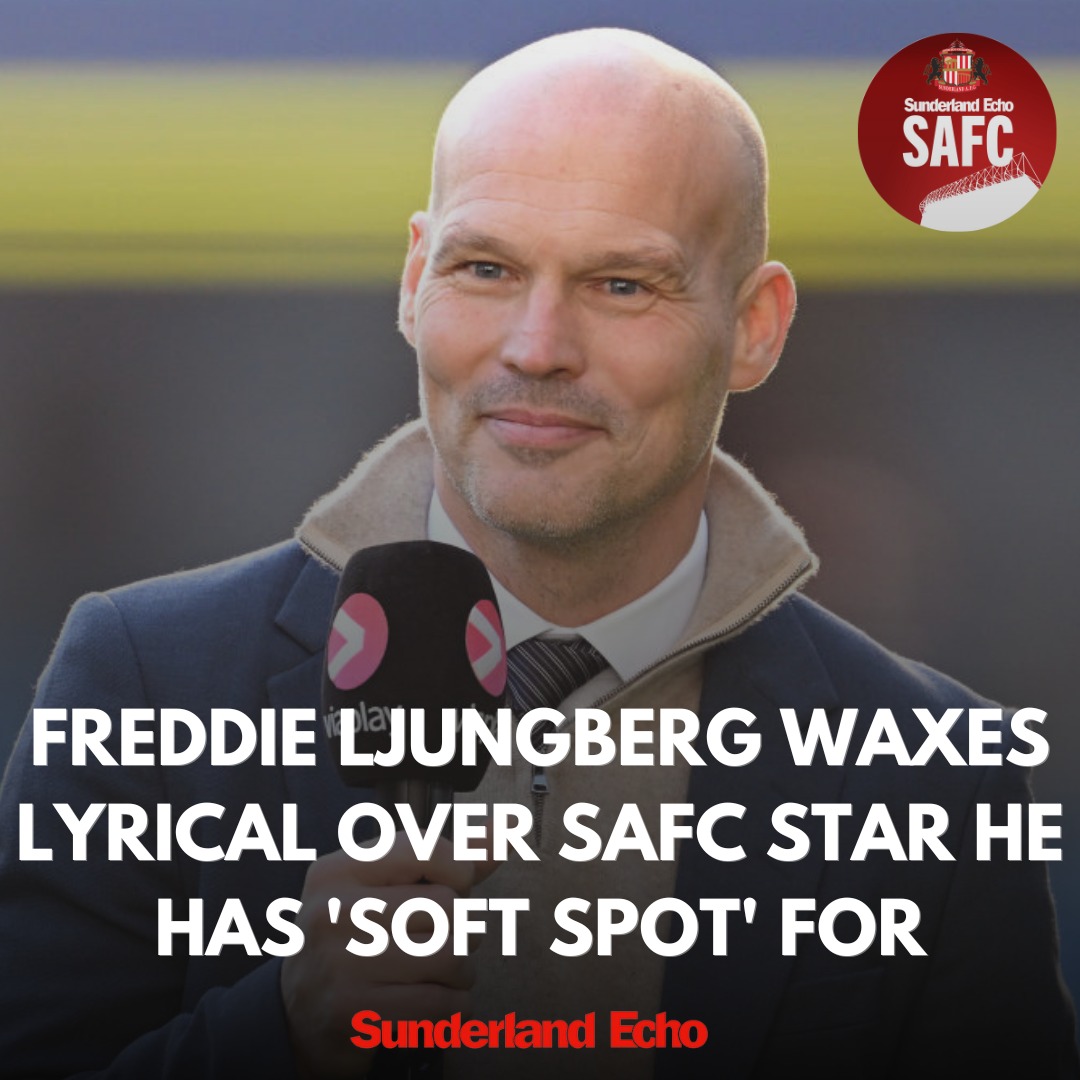 Sunderland - The former Arsenal favourite has described the Sunderland ...