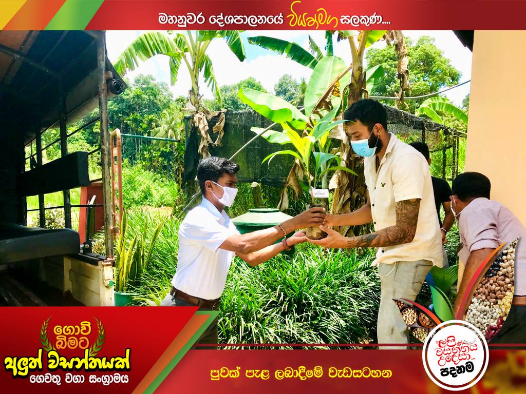 Wasantha Yapabandara added a new photo. - Wasantha Yapabandara