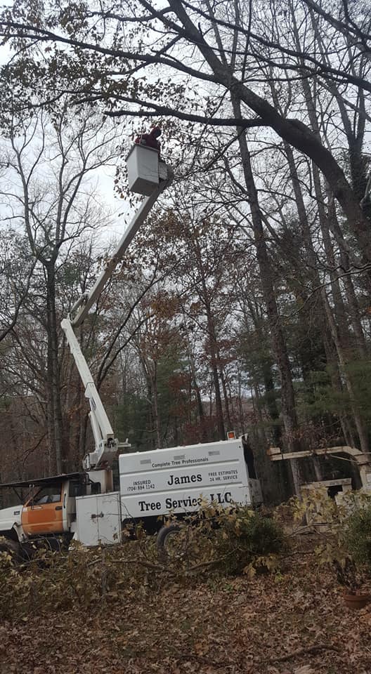 James Tree Service added a new photo. - James Tree Service
