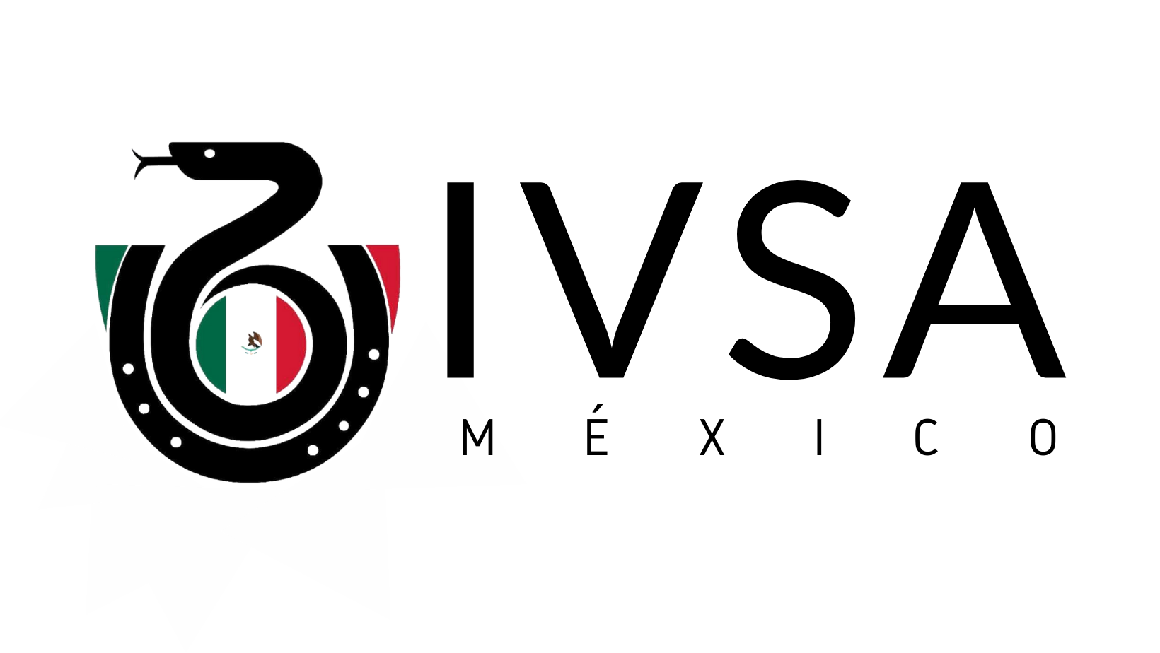 IVSA México
