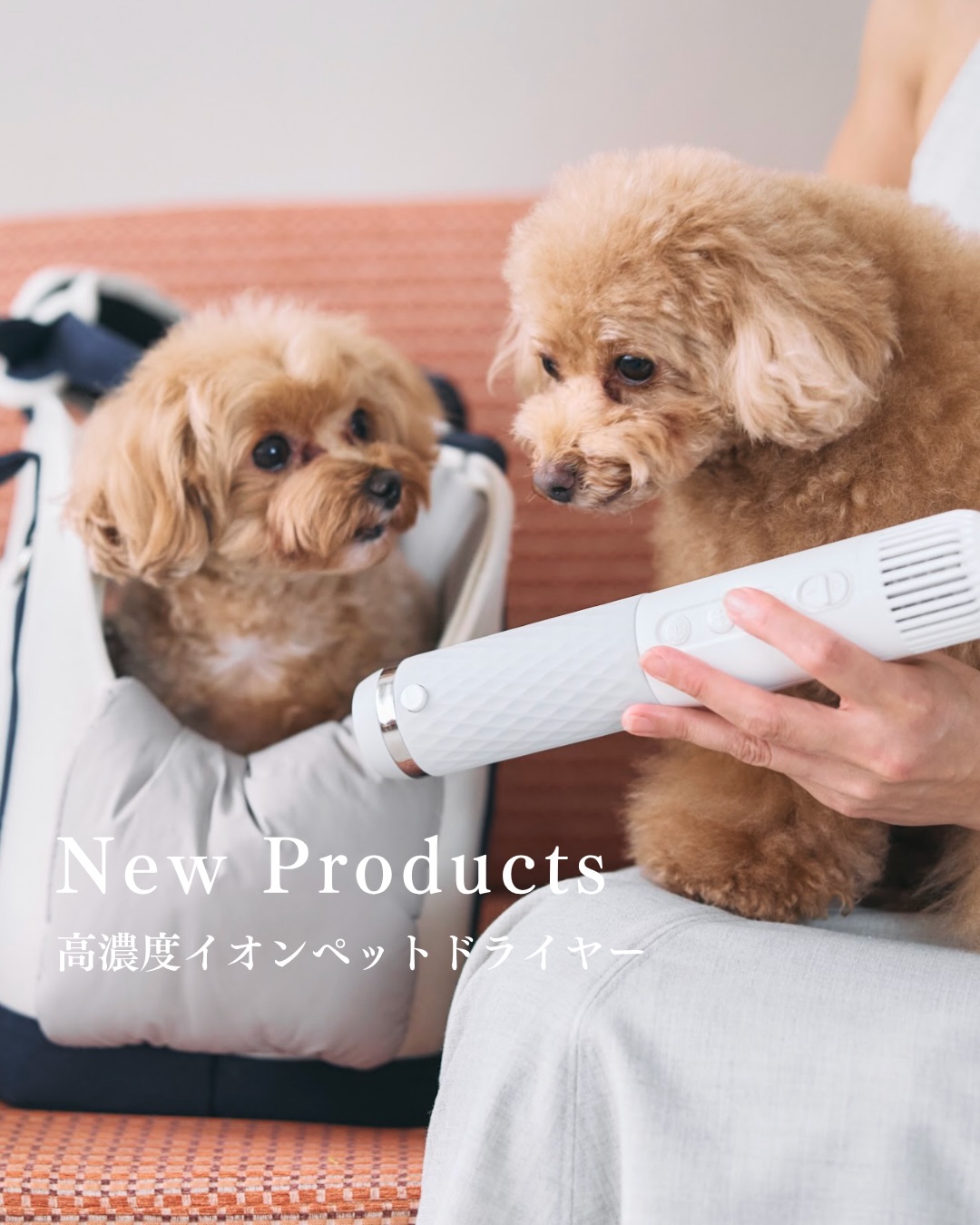ペルシアからケア用品に特化したブランド Lumoa(ルモア)が誕生🐾 大切