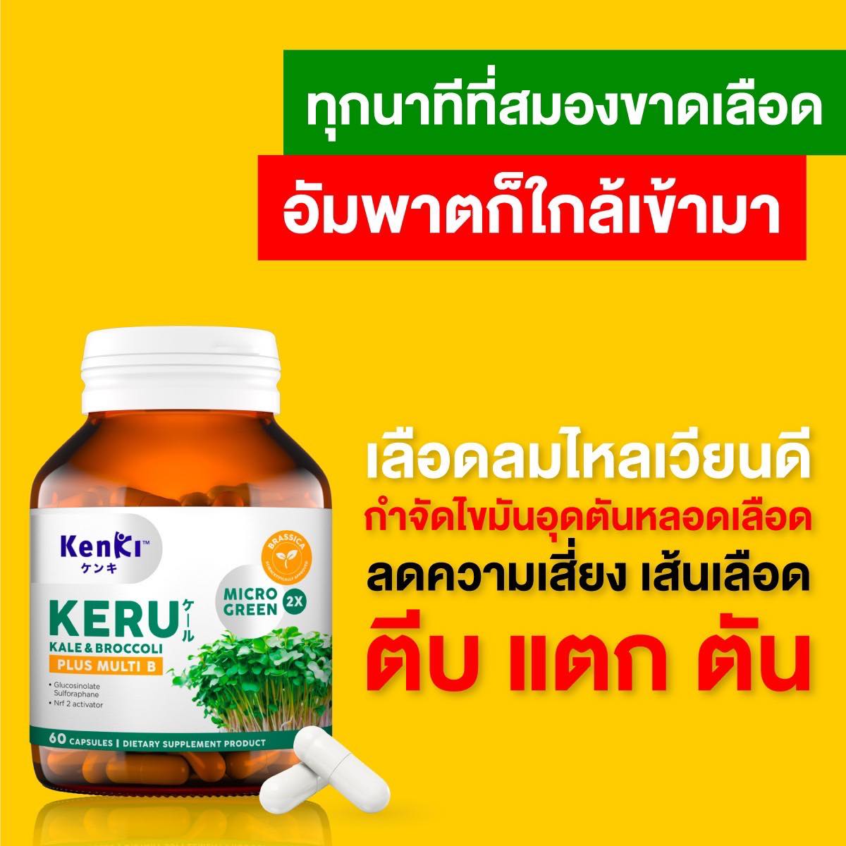 Kenki keru thailand