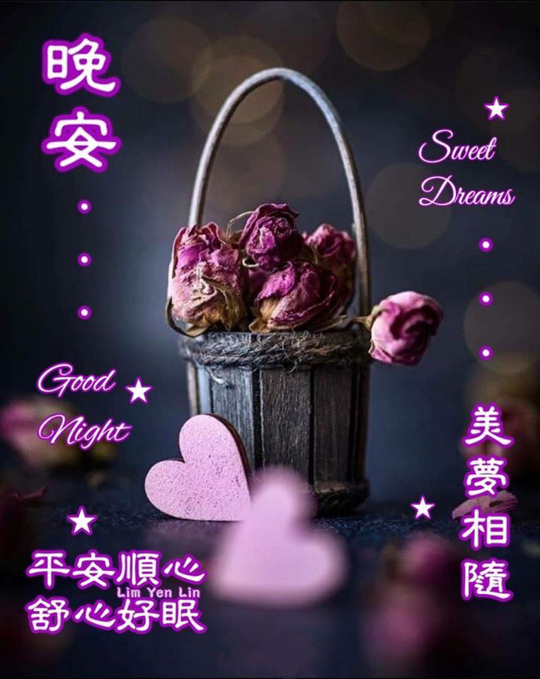晚安😴親愛的 好友們 舒心好眠☪️美夢香甜 - ※ 分享讓你快樂。感恩讓你幸福※