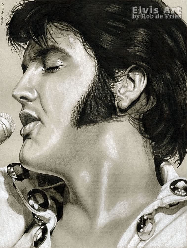 Elvis Art by Rob de Vries | Koog aan de Zaan