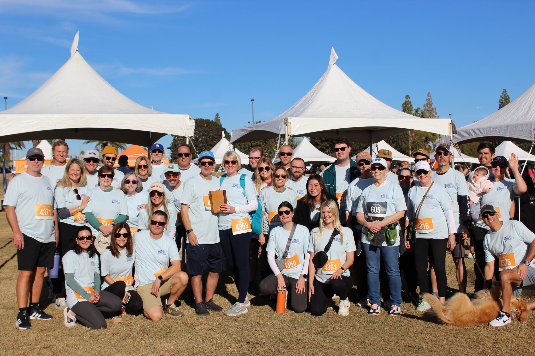 Phoenix Run/Walk