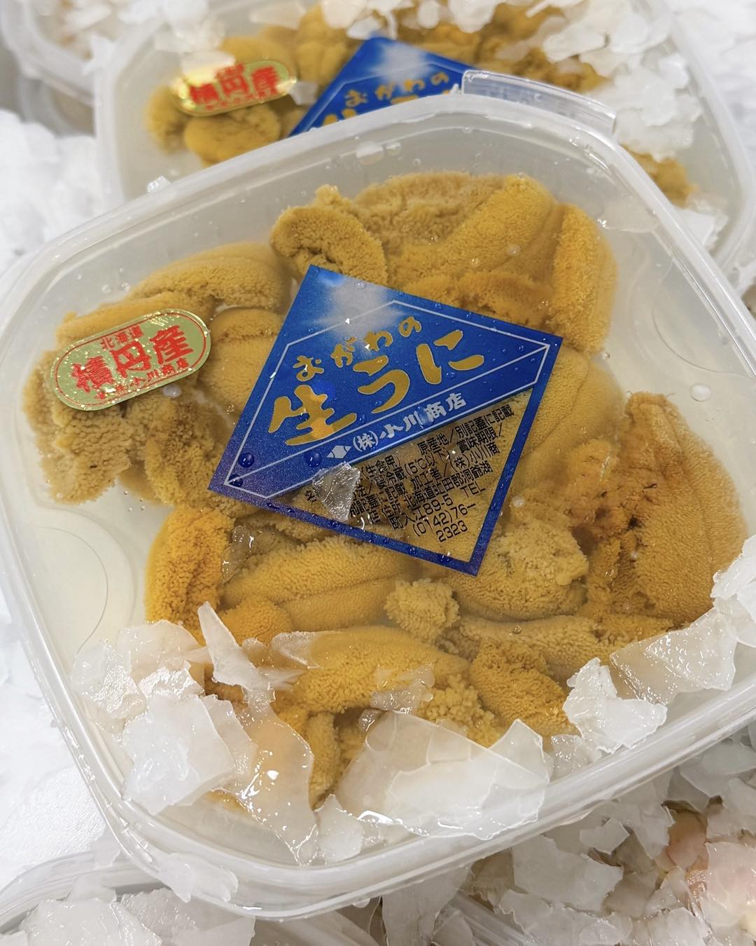 もう準備はできてますか？ バレンタイン限定ハートうに Limited for