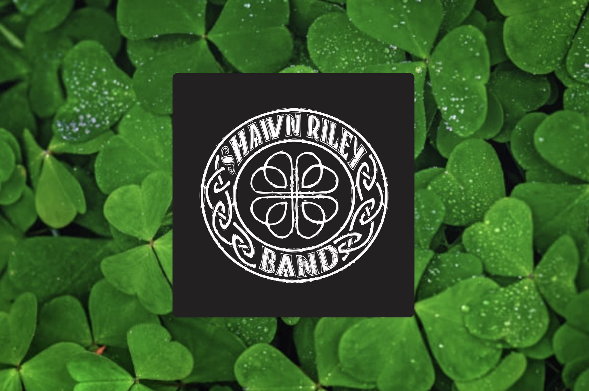 The Shawn Riley Band