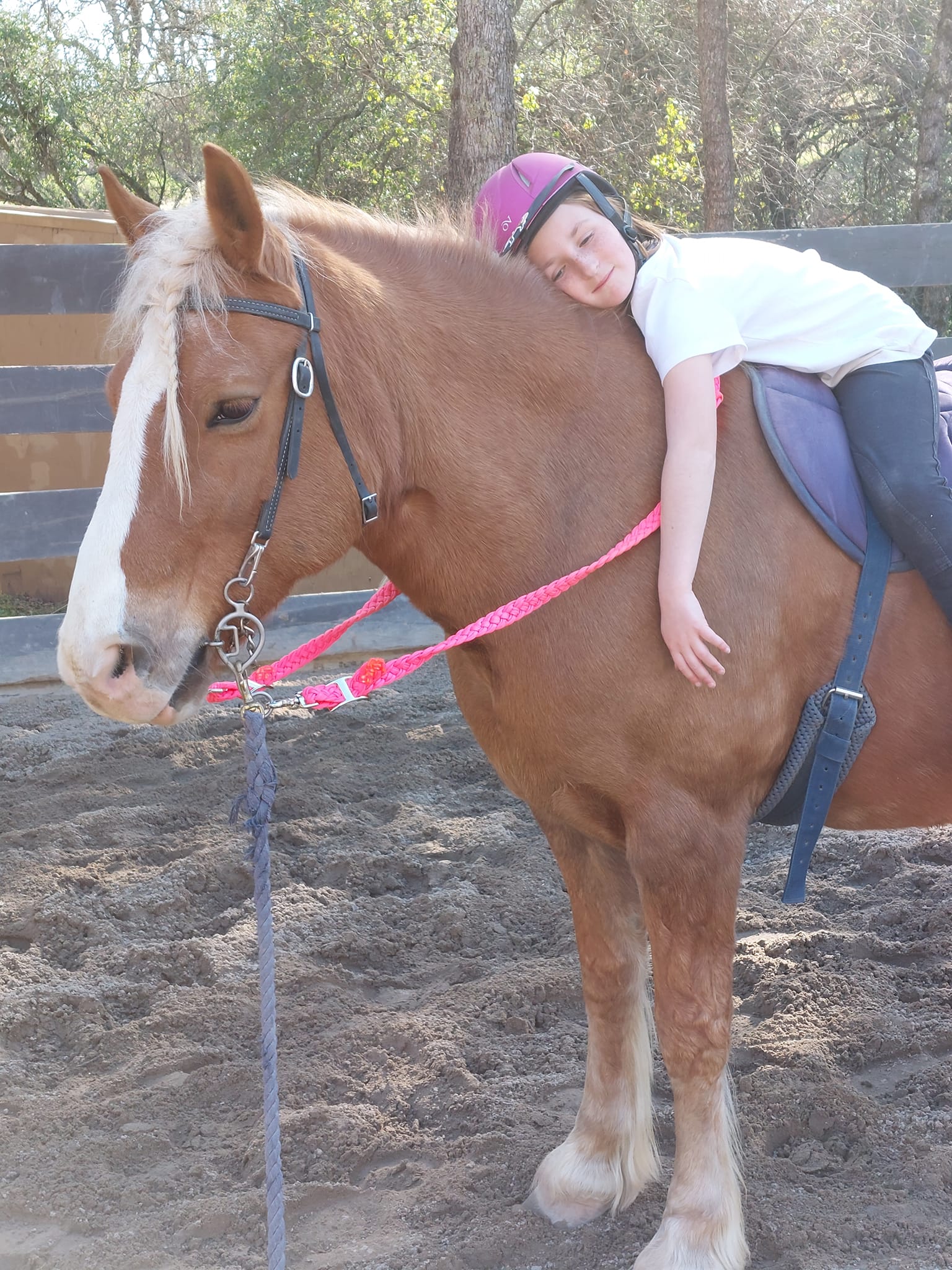 Topline Performance Riding School | Rescue CA