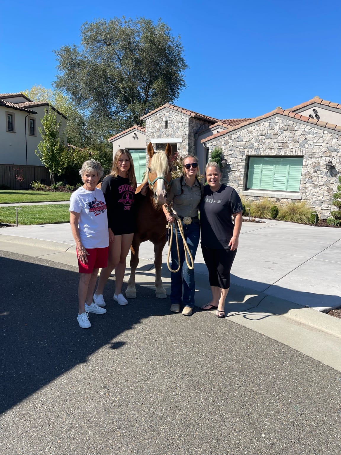 Topline Performance Riding School | Rescue CA