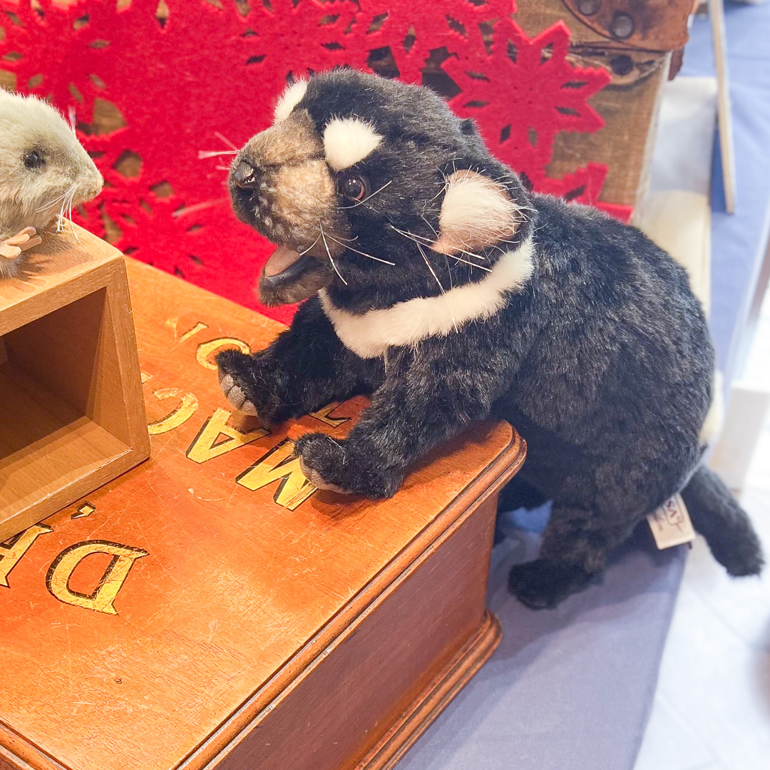 ネズミちゃん発見❗️😳なタスマニアデビルちゃん😈 ［4722