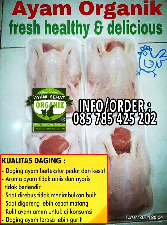 Jual Paha Utuh Ayam Organik Berkah Chicken Jakarta Utara O Ranch Tokopedia
