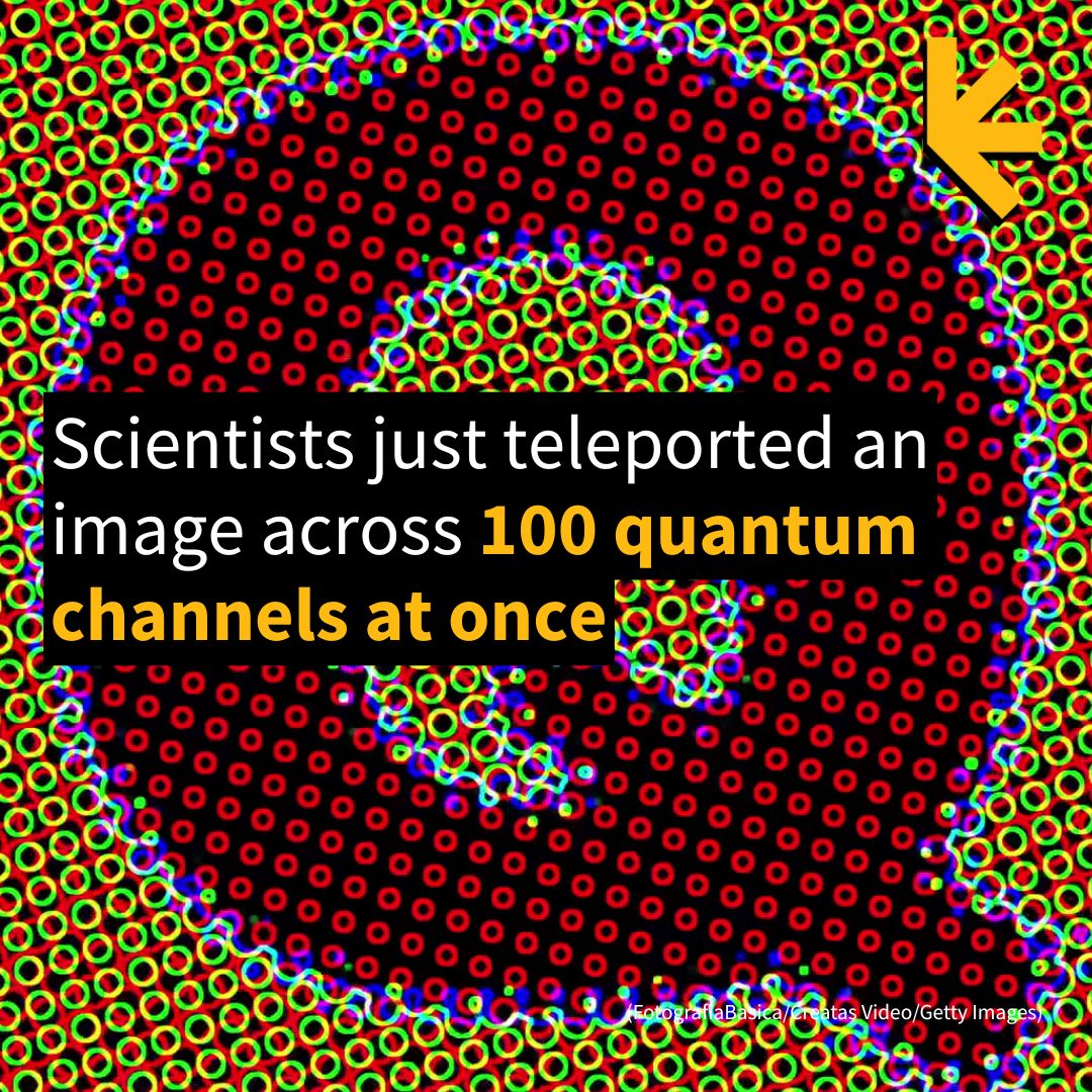 × Teleport ECONOMICS CAP EXPERIMENT