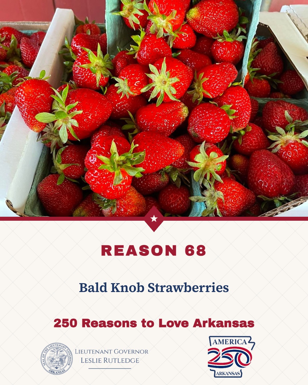 Bald Knob strawberries in Arkansas