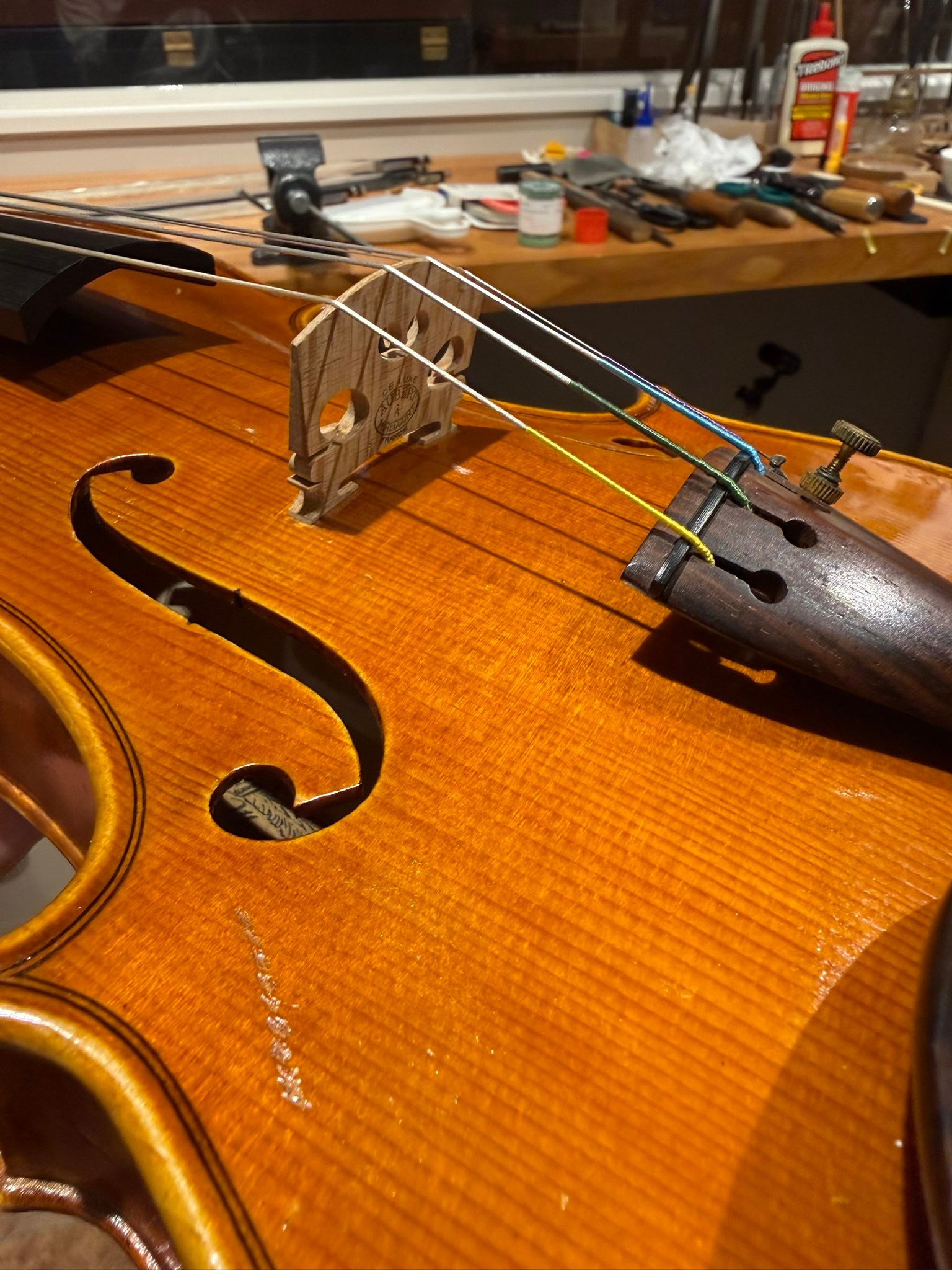 弦楽器専門店 Il Violino Magico | Shibuya-ku Tokyo