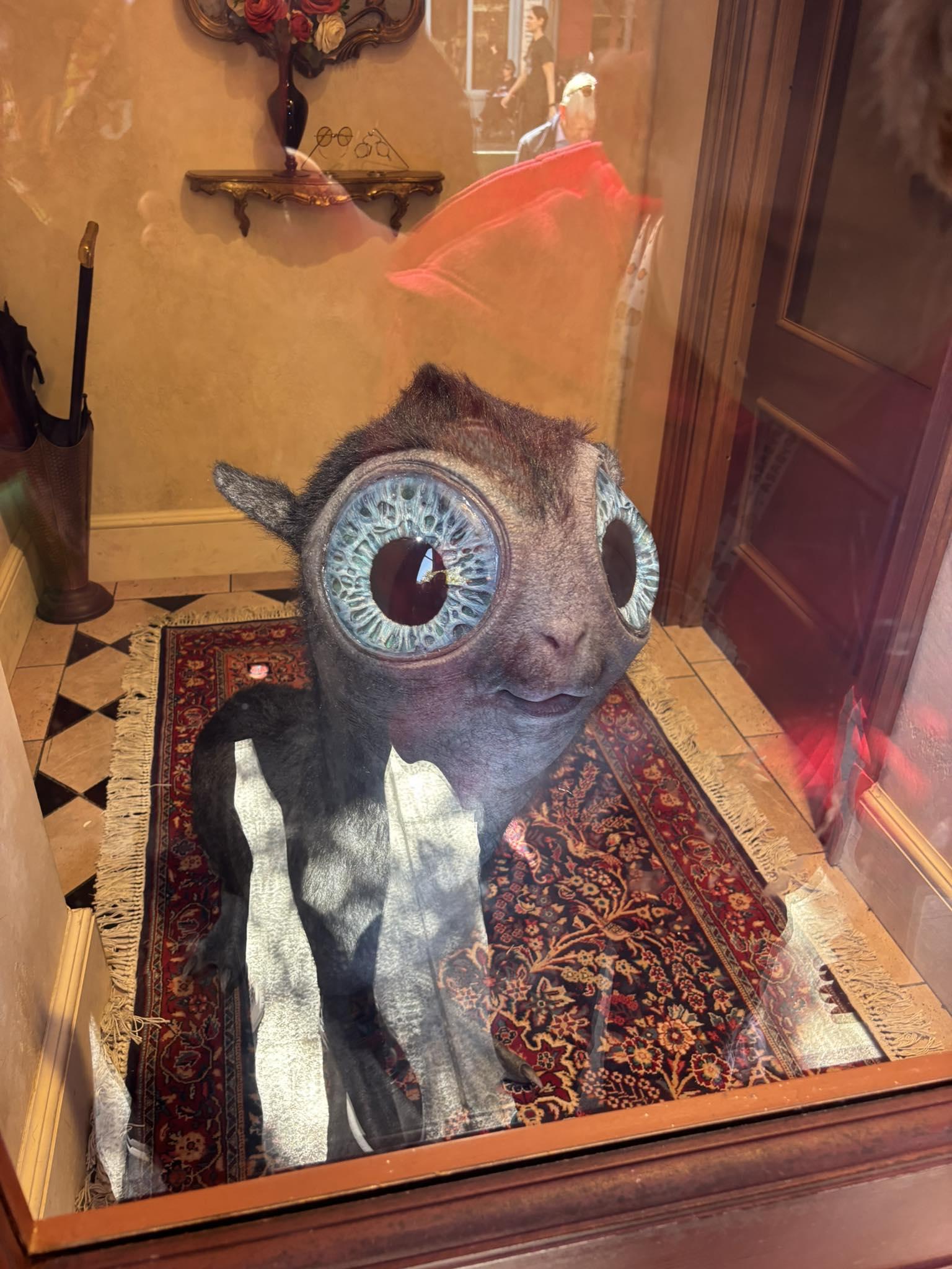 Where to buy the moon claves plush toy at Universal Studios?