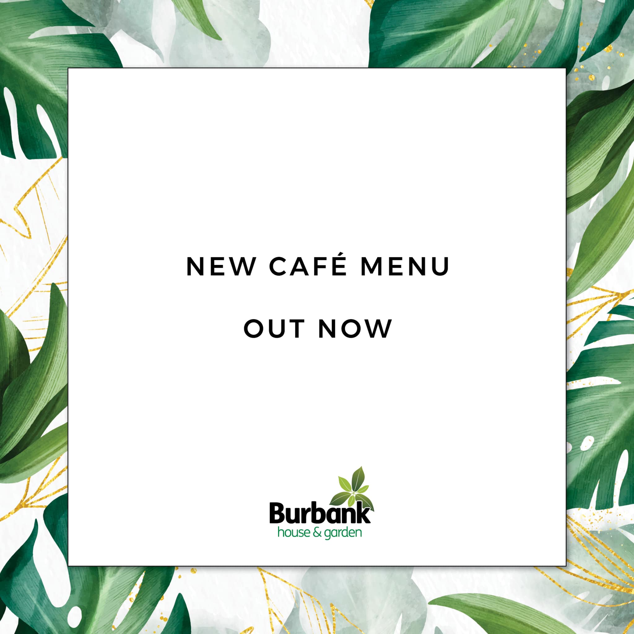 👩‍🍳 New kitchen =... - Burbank House & Garden Erina Heights | Facebook