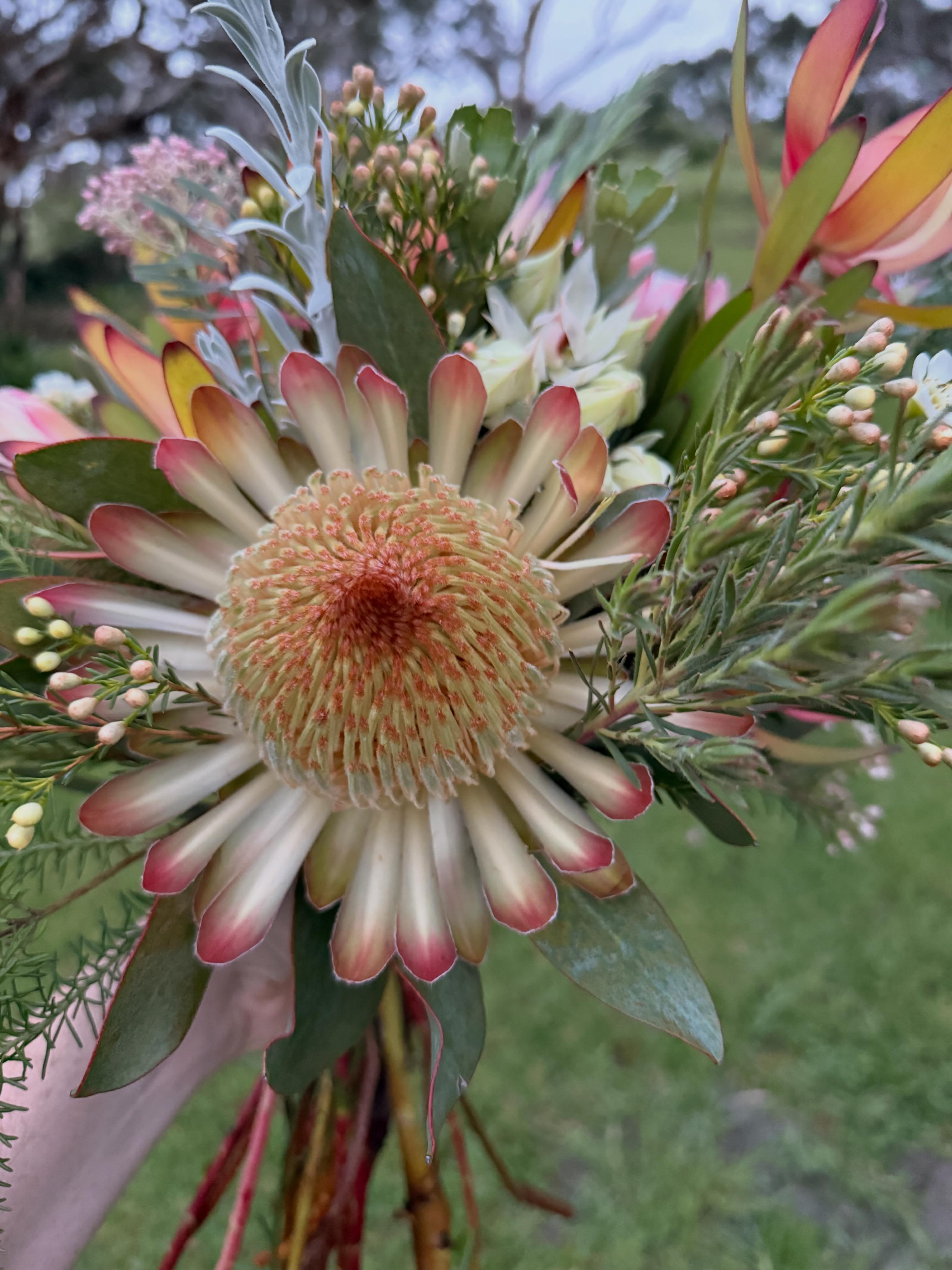Botanical Love Flowers