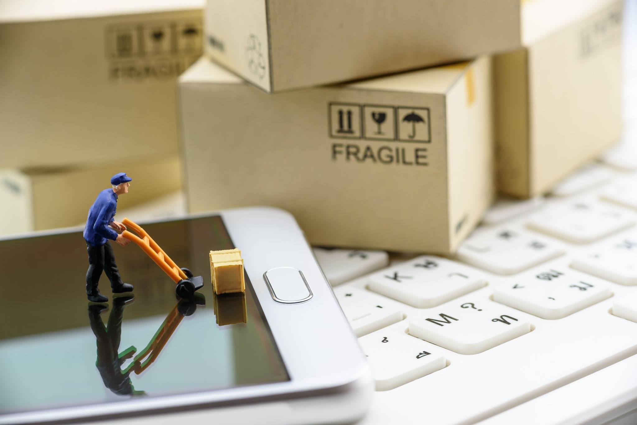 Star Fox Delivery Service Ltd | Doncaster