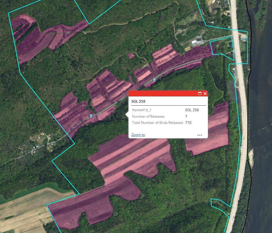 Pennsylvania - Pheasant hunters are encouraged to use the new ...