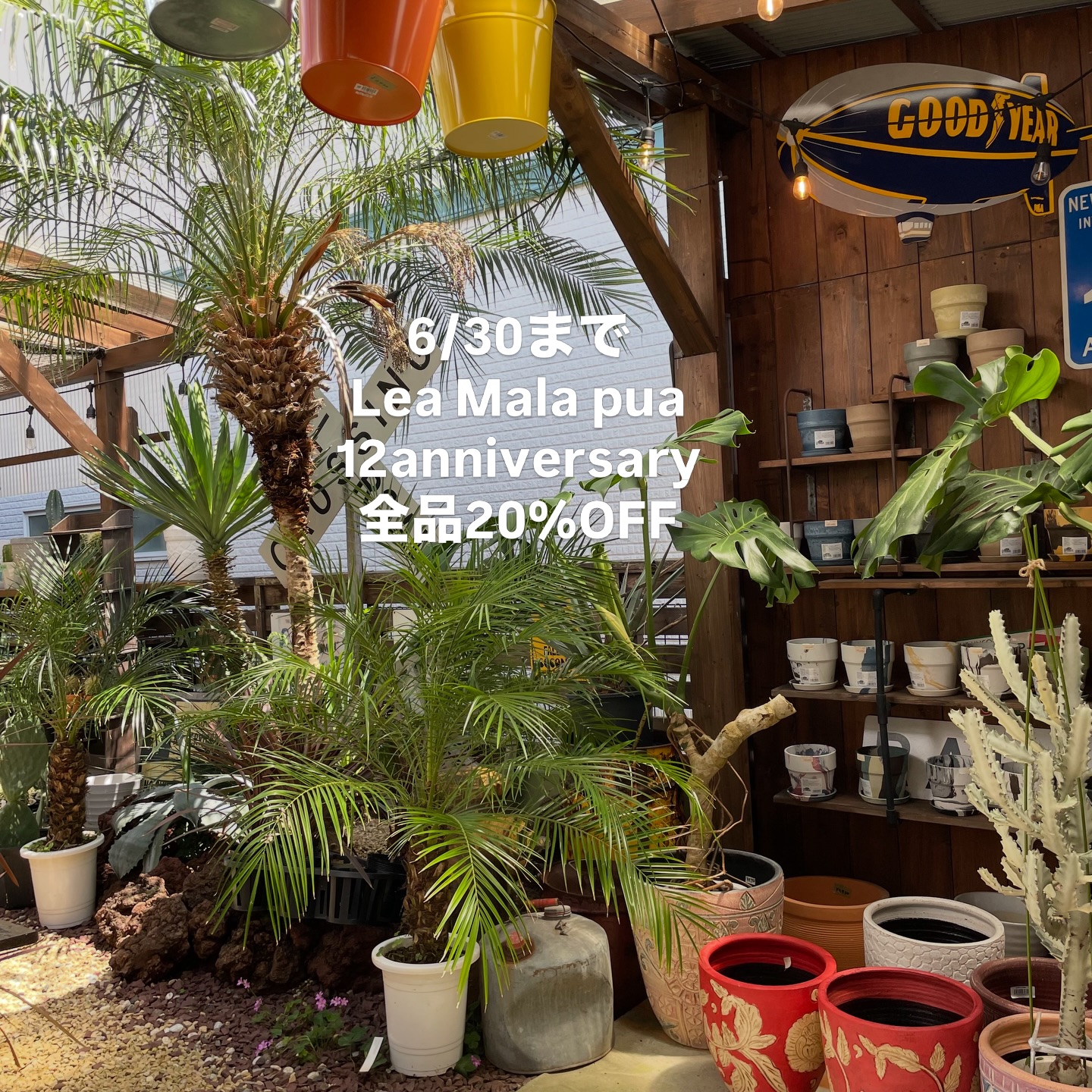 ドライガーデン🌵🌴🌵🌴 施工しました🙌🏻 今回は、ブラックの大きい