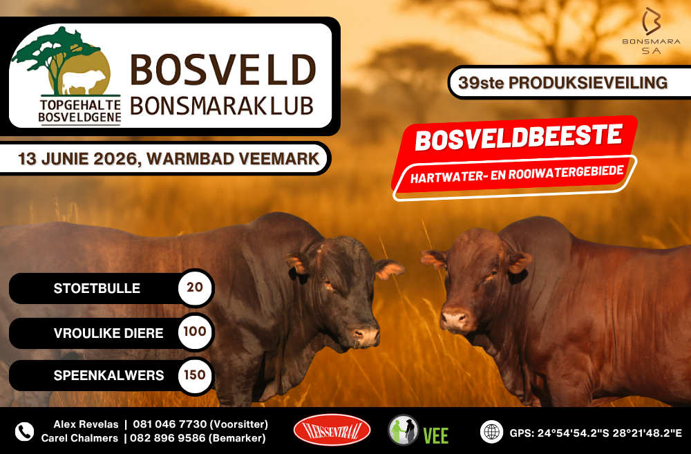 Bosveld Bonsmaraklub