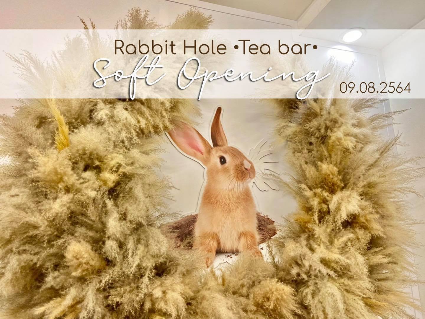 09.08.64 🐰 “Soft Opening”... - Rabbit Hole •Tea bar• Thailand | Facebook