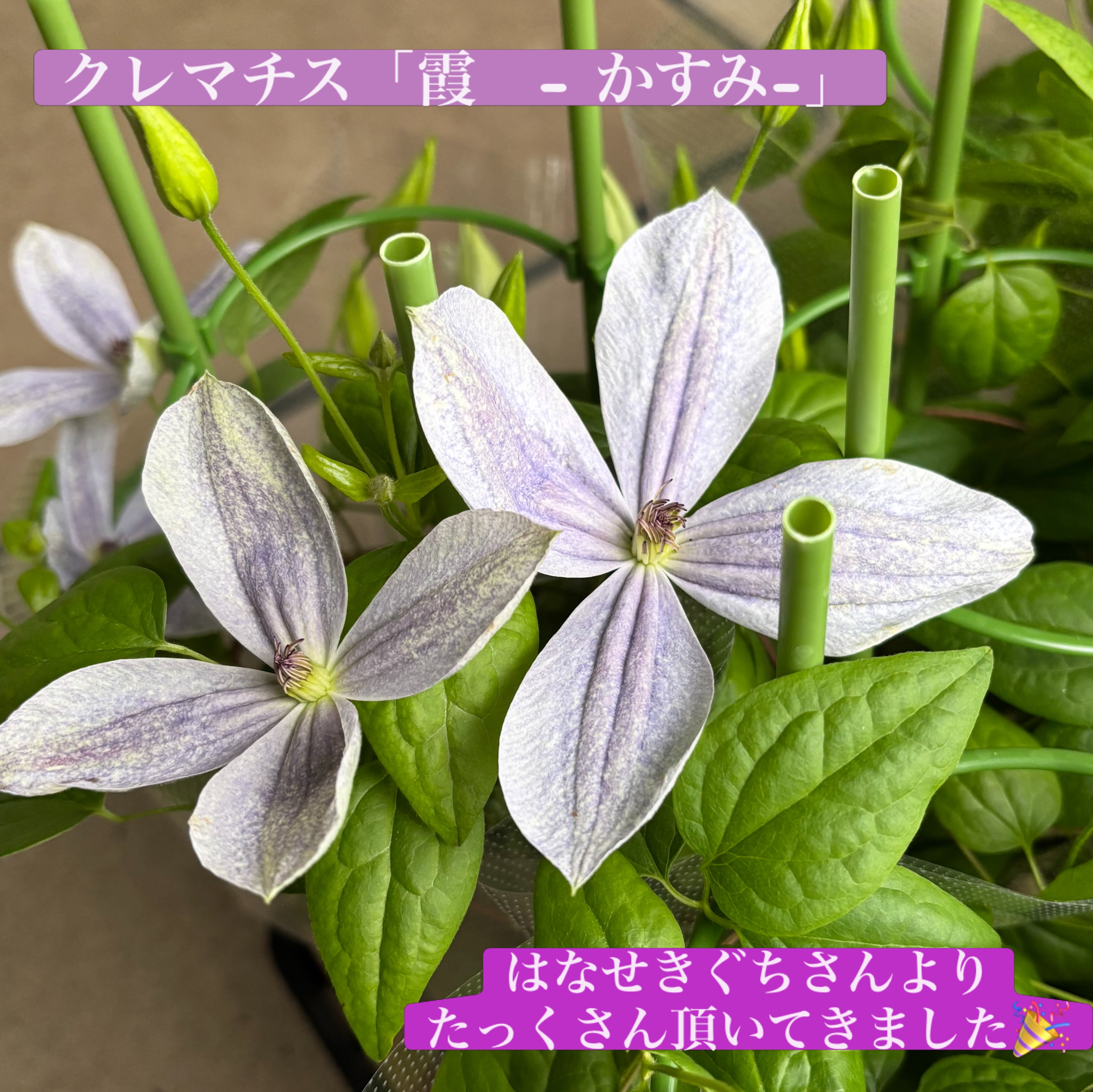 玄蕃ファーム - 玄蕃ファーム added a new photo — at 玄蕃ファーム.