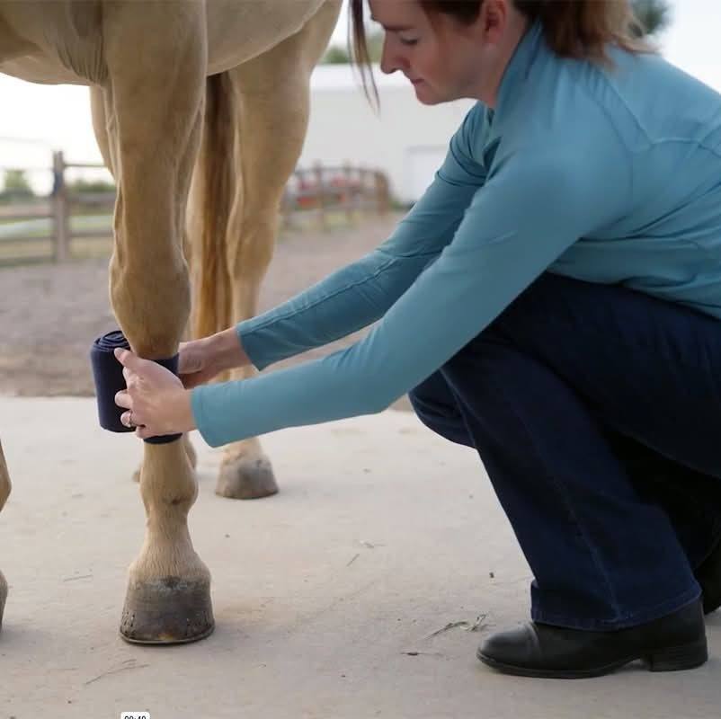 Horse , #fypchallenge #contentcreator #horselife #viralhorse | MarKoo ...